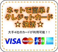 �N���W�b�g����