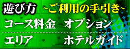 �V�ѕ��`�����p�̎���`